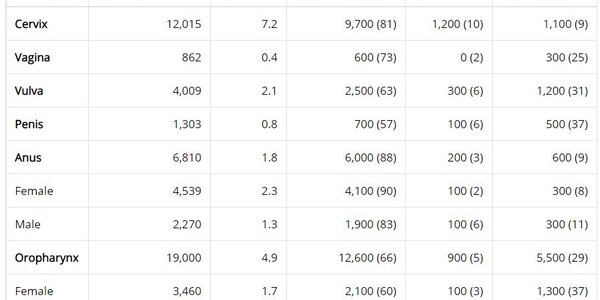 Article teaser image