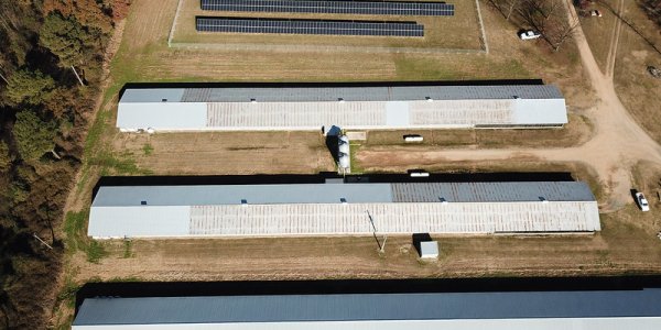 Solar Power May Get Environmentalists To Accept GMOs