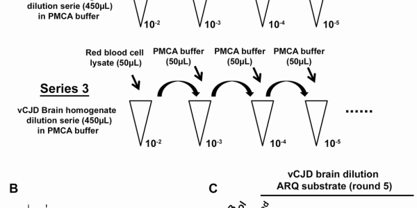 Mad Cow Disease In Humans: New Test Detects Toxic Prions In Blood