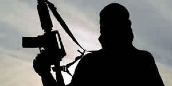 Government COVID-19 Lockdowns Reduced Terrorism