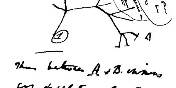 A Tree Of Life For Gene Flow Within Species