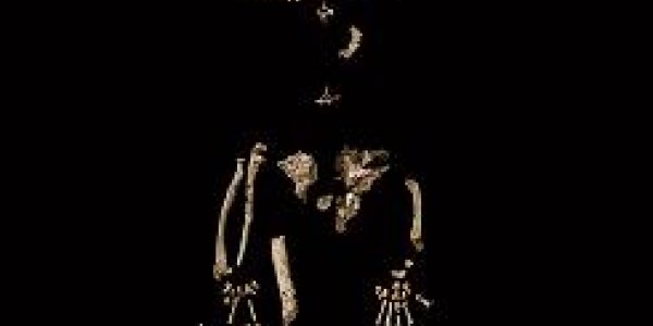 Humans Vs. Chimps -- Neither Is An Offshoot Of Ardipithecus Ramidus