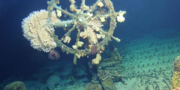 World War II 'Ghost Ship' USS Kailua Found Off Coast Of Hawaii