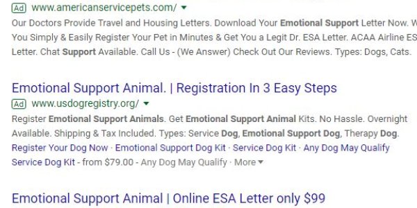 Emotional Support Animals - The Ethical Challenge In Signing Off On Them Is Not Being Met