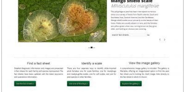 Scientists In Both Parties Agree, There Are Some Illegal Aliens We Want To Keep Out