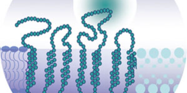 Article teaser image