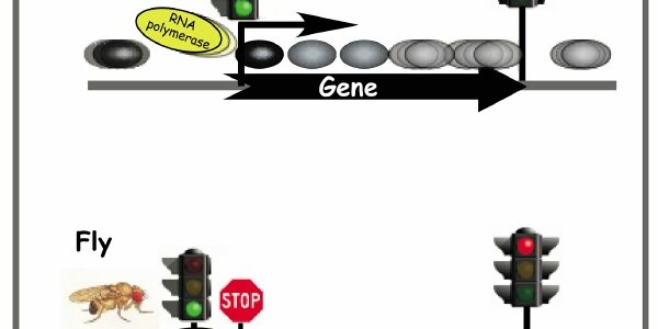 Article teaser image