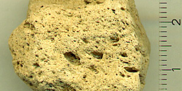 Article teaser image