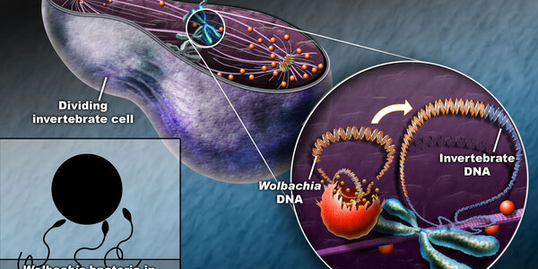 Article teaser image