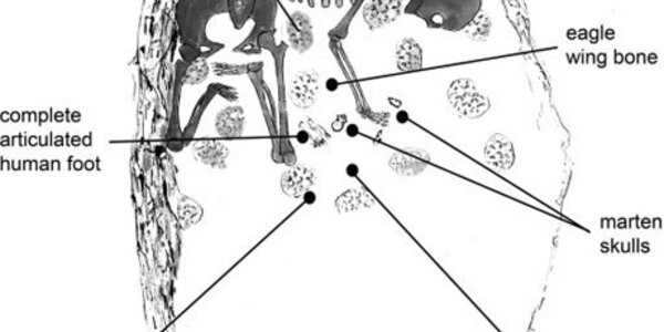 Article teaser image