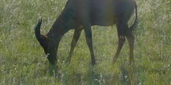 Article teaser image