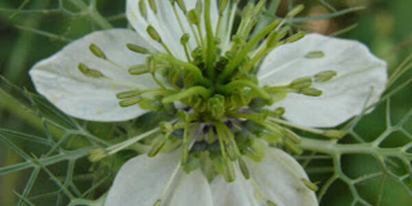 Article teaser image