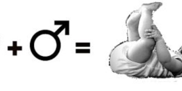 Article teaser image