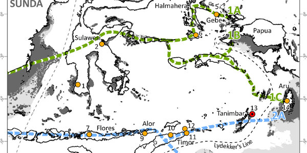 Article teaser image