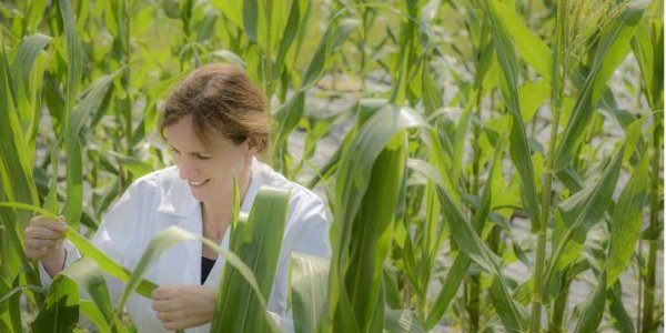 Just The Tip: How Maristem Biotech Could Lead To Higher Food Yields