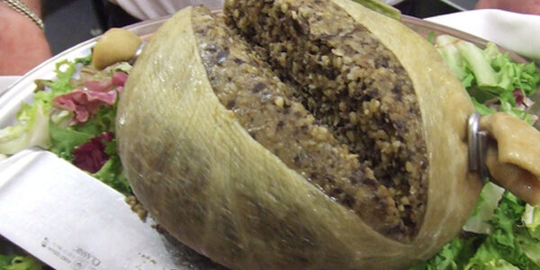 Article teaser image