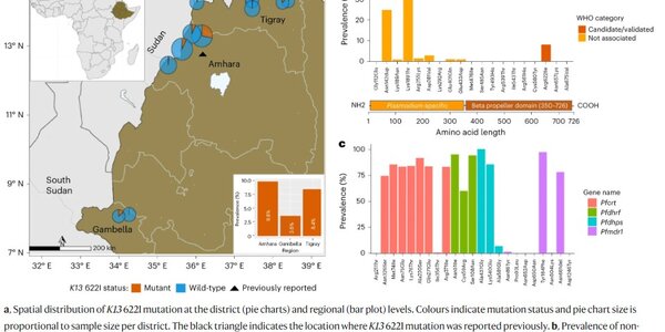 Article teaser image