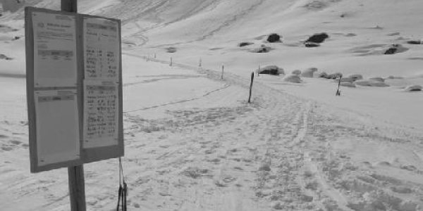 Want To Lower Your Risk Of Being Involved In An Avalanche? Do This