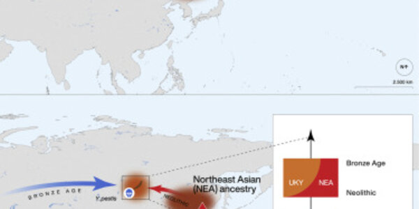 Article teaser image