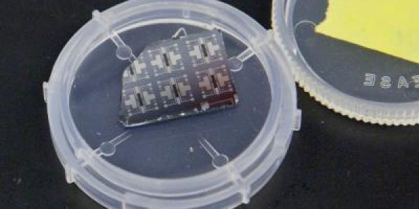 Singularity Update: New Transistor Mimics The Behavior Of A Synapse