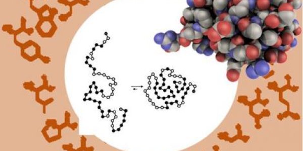 Amino Acids: 1 In A Billion Or Was Biology's Optimal 'Molecular Alphabet' Preordained?