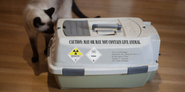 Article teaser image