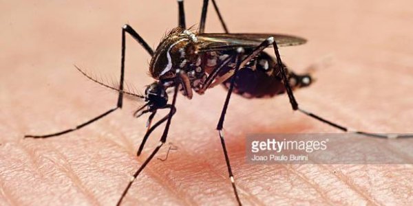 A New Class of Malaria Drug Candidates