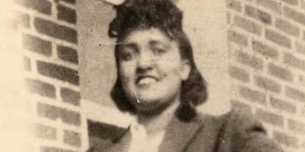 How Are Cancer Cells Like HeLA Able To Survive Evolution?