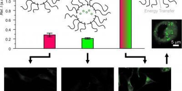 Self-Assembling Nanosubmarine Could Deliver Molecules To Cells