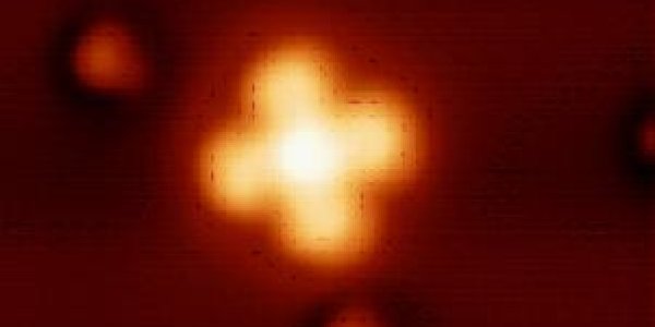 Feynman’s Flowers - A Citizen Science Project To Unlock The Secrets Of Magnetism