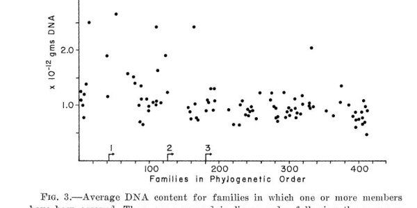 Fishy phylogenetics figures found.