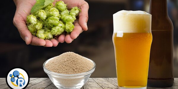 Article teaser image