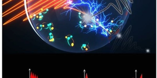 Forbidden Light In The Quantum World