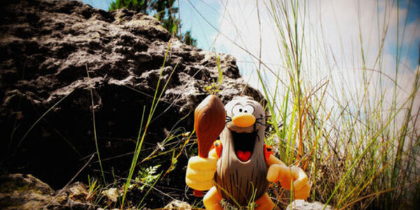 Article teaser image