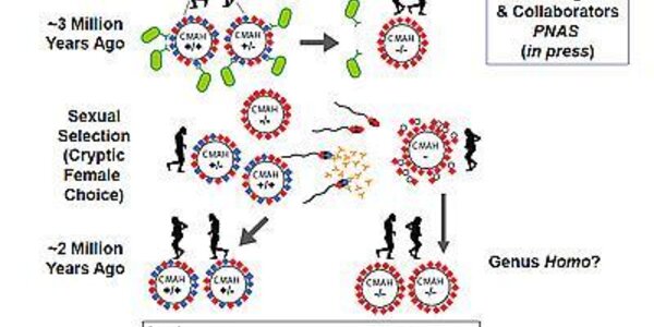 Article teaser image