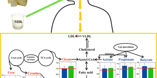 Article teaser image