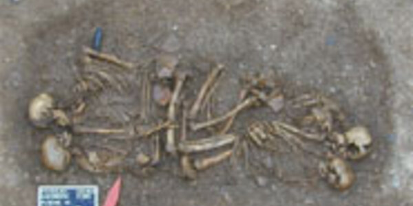 Article teaser image