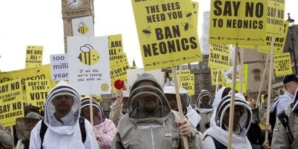 Bee Brains: New Attack On Science Claims Insects Can't Sleep Unless Pesticides Are Organic
