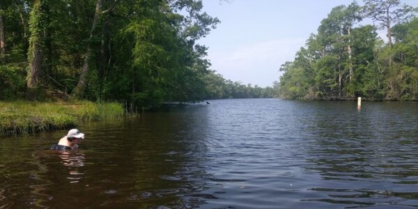 Article teaser image