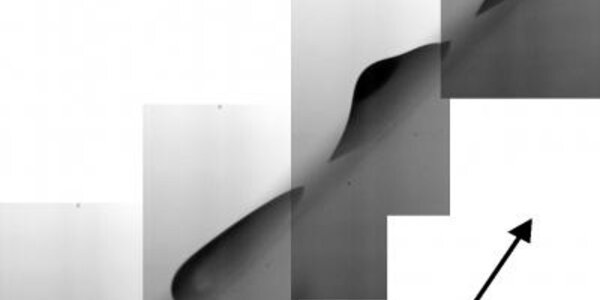 Article teaser image