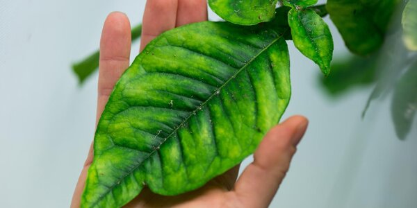 Article teaser image