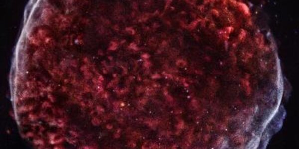 Article teaser image