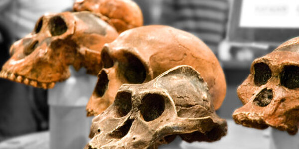 Article teaser image