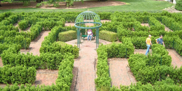 Article teaser image