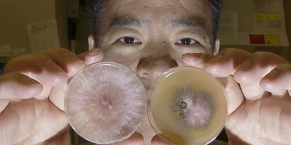 Article teaser image