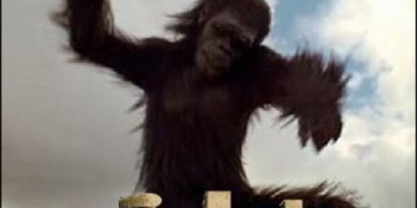 Article teaser image