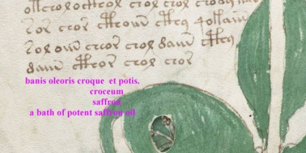 The Keys to the Voynich Manuscript