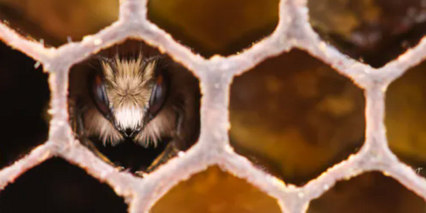 Article teaser image