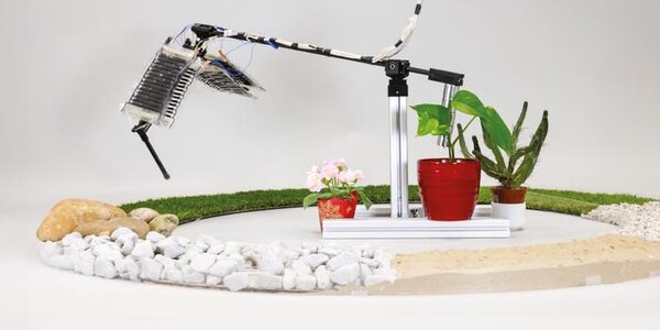 Article teaser image