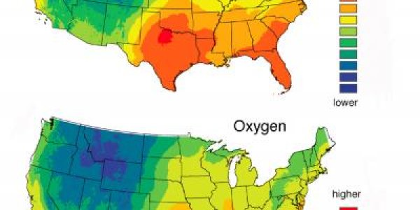 Crime-Fighting Tool: Hair Reveals Where Murder Victims Drank Water